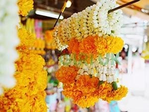 Festival Decorations