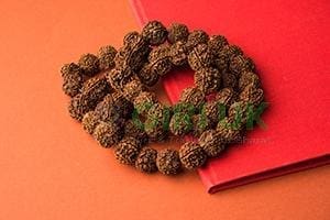 Rudraksha Mala