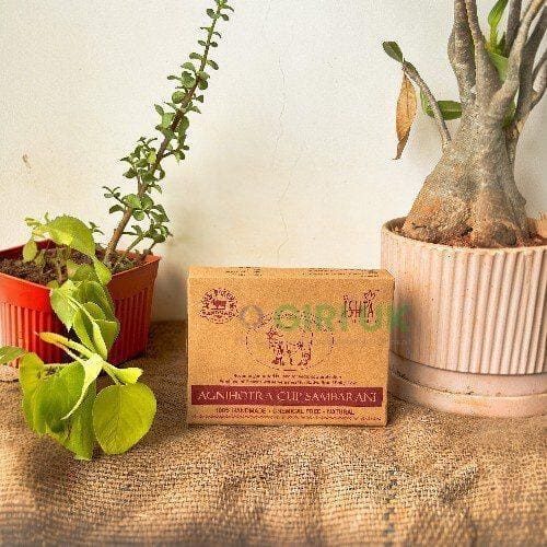 Organic Agnihothra Cup Sambrani from Cow Dug