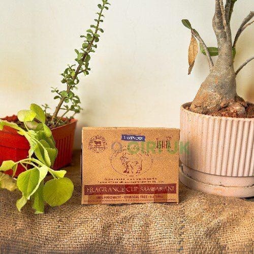 Organic Lavander Cup Sambrani from Cow Dug