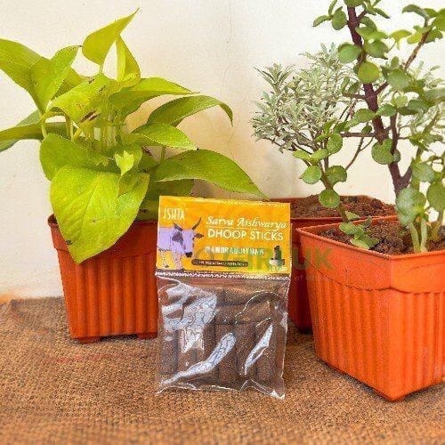 Organic Manoranjitham Dhoop Sticks from Cow Dug