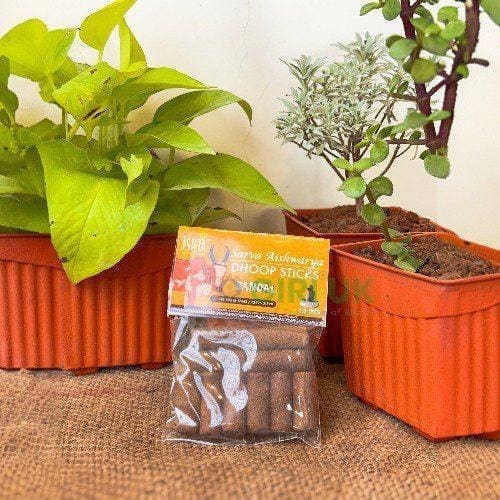 Organic Sandal Dhoop Sticks from Cow Dug