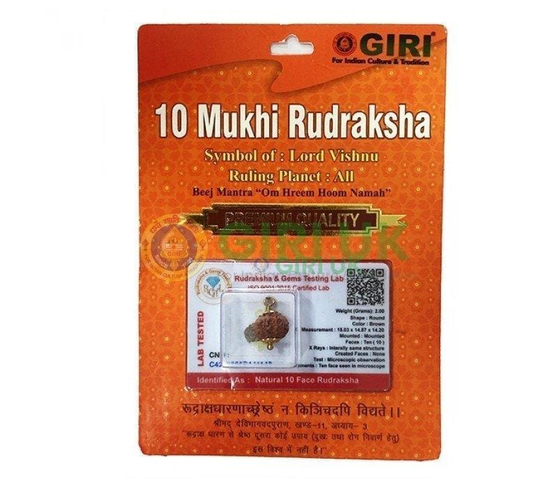 Nepali Rudraksha Bead (10 face)