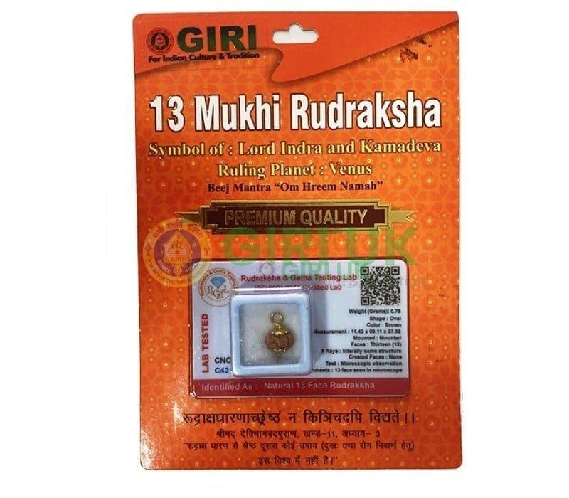 Nepali Rudraksha Bead (13 face)
