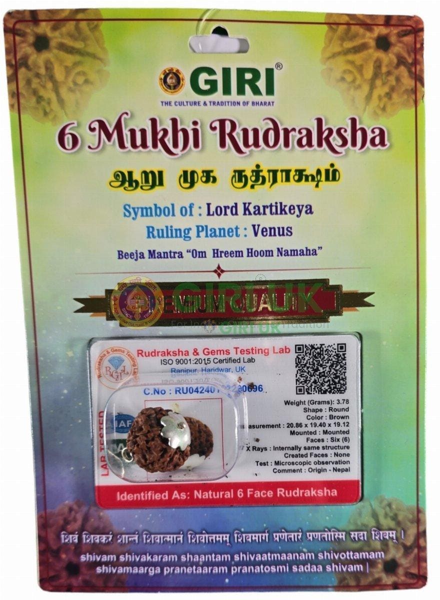 Rudraksha Pendant 6 Face Nepali - White Cup