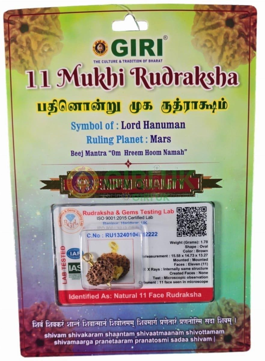 Rudraksha Pendant 11 Face Java - Golden Cup