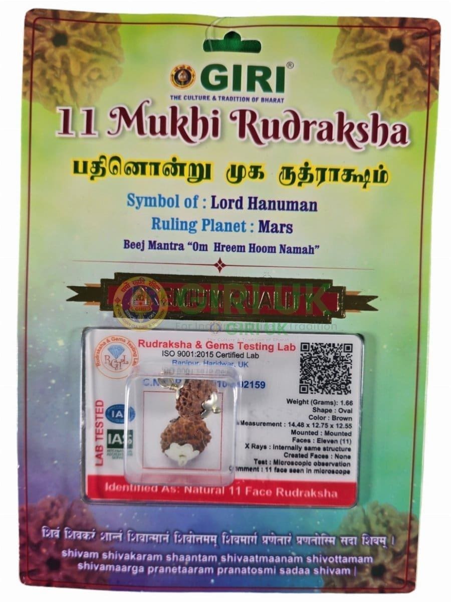 Rudraksha Pendant 11 Face Java - White Cup