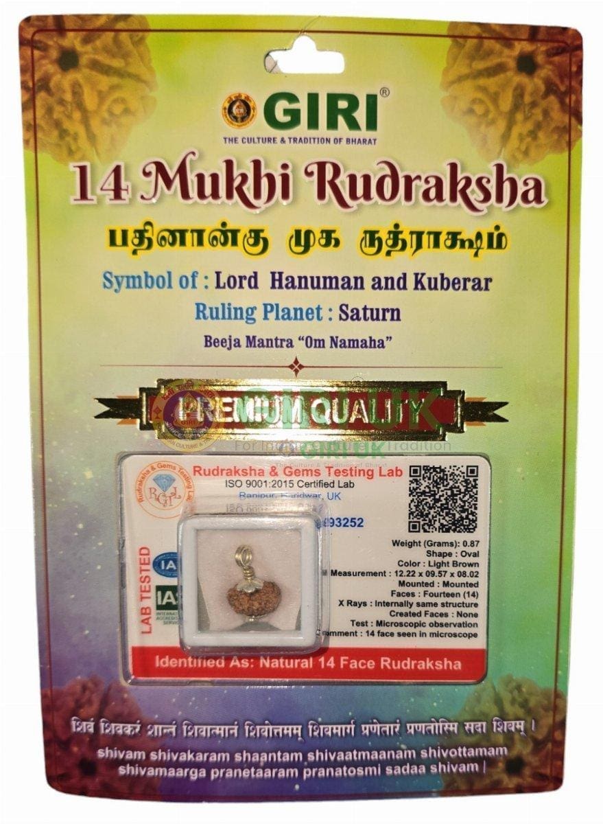 Rudraksha Beads 14 Face Java With Om Pendant-White Cup