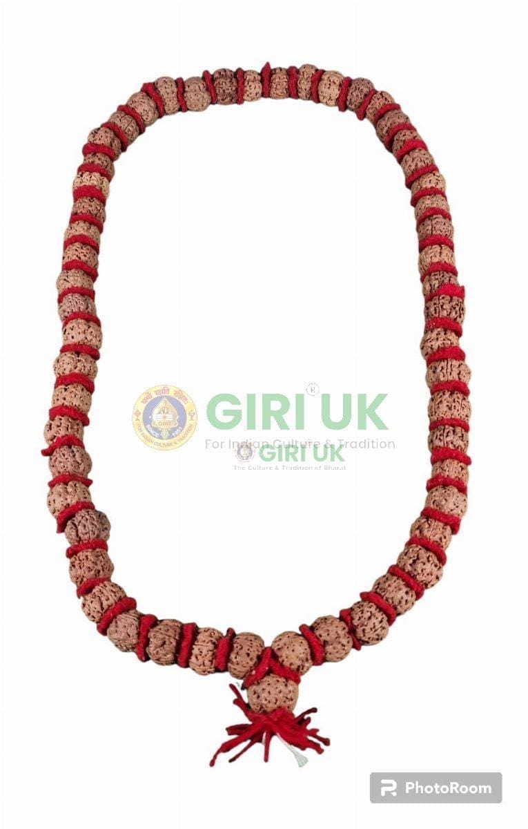 Rudraksha Mala (54 x 5 face beads)