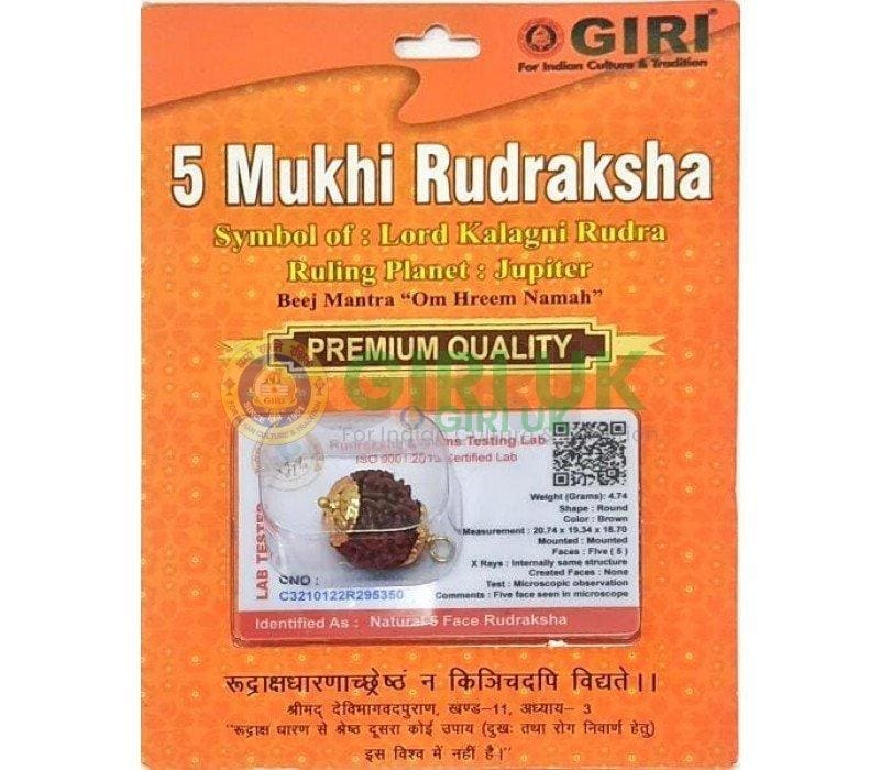 Nepali Rudraksha Bead (5 face)
