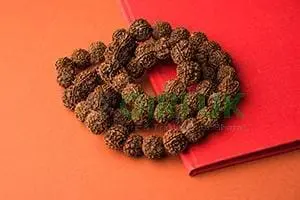 Rudraksha Mala