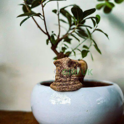 Gomiya Divine Ganesa