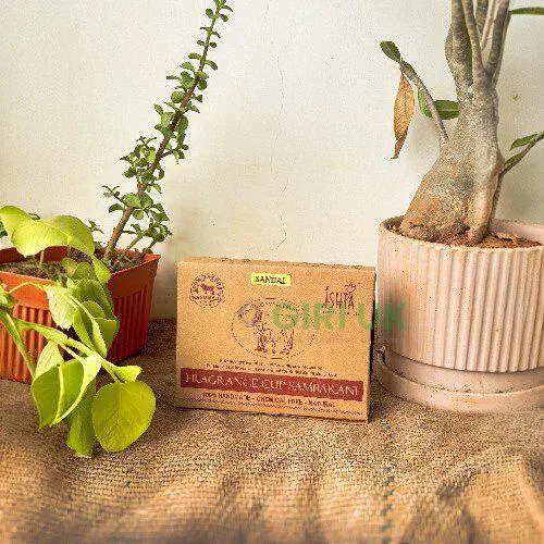 Organic Sandal Cup Sambrani from Cow Dug