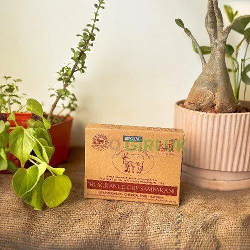 Organic Special Cup Sambrani from Cow Dug