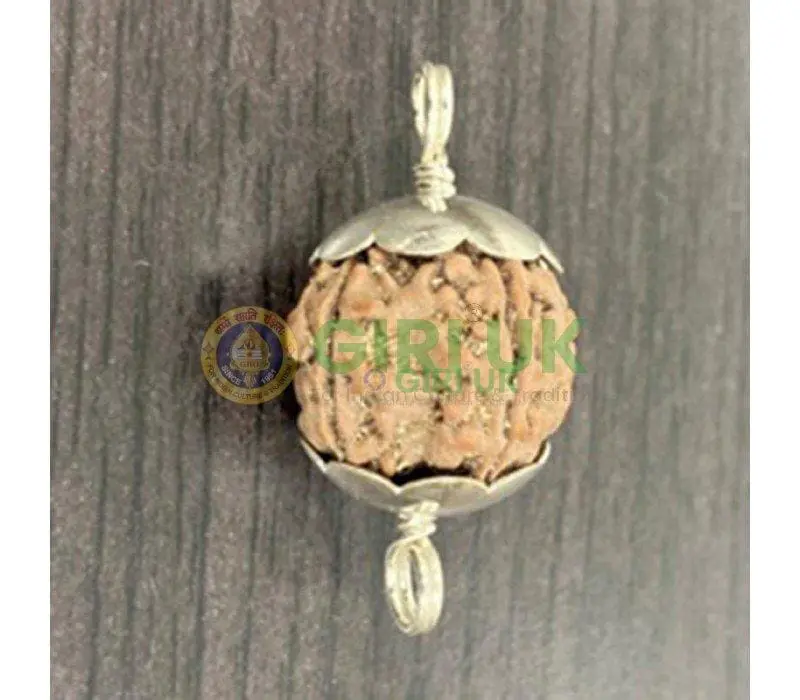 Nepali Rudraksha Bead (5 face)